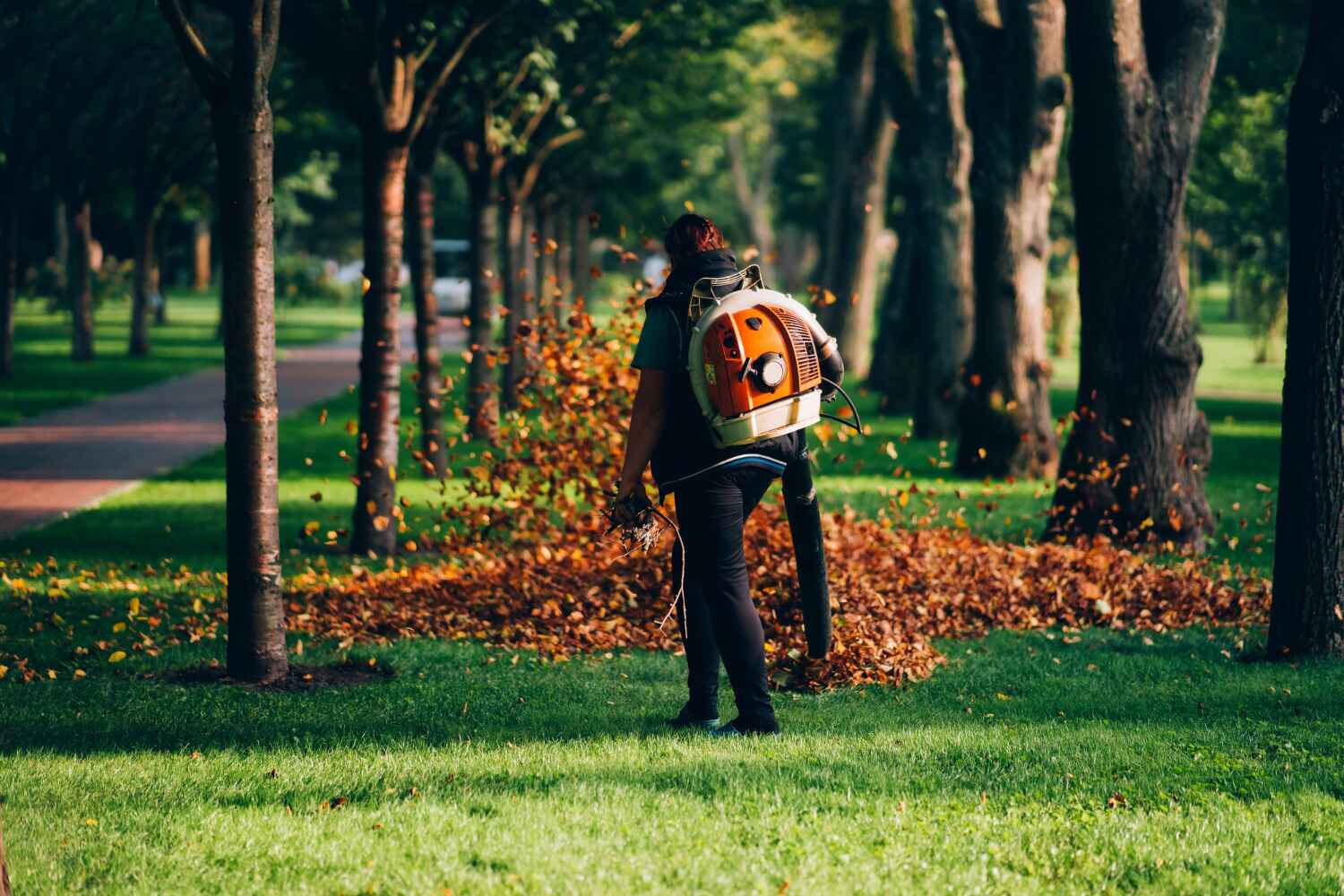 Best Tree Trimming Near Me  in Heritage Lake, IL